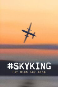 #SKYKING 2026