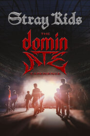 Stray Kids: The dominATE Experience 2026