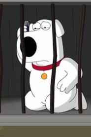 Family Guy Season 16 Episode 15 English Sub Free