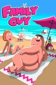 Family Guy Season 20 Watch All Episodes Online Free