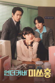 Undercover Miss Hong Season 1 Watch All Episodes Online Free