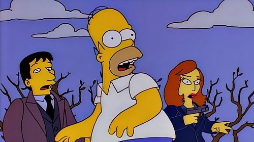 The Simpsons Season 8 Episode 10 English Sub Free