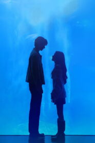 When I Meet the Moon Season 1 Watch All Episodes Online Free
