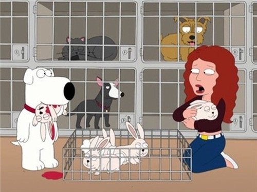 Family Guy Season 7 Episode 1 English Sub Free