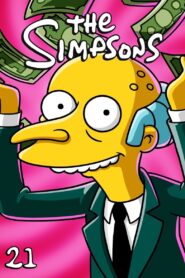 The Simpsons Season 21 Watch All Episodes Online Free