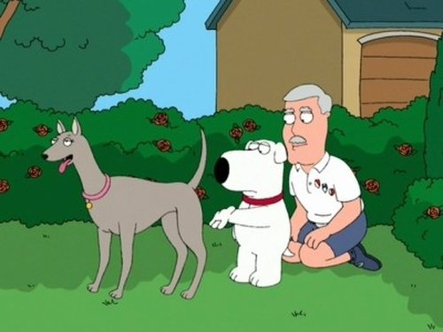 Family Guy Season 3 Episode 13 English Sub Free