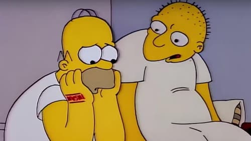 The Simpsons Season 3 Episode 1 English Sub Free
