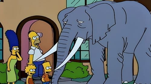 The Simpsons Season 5 Episode 17 English Sub Free