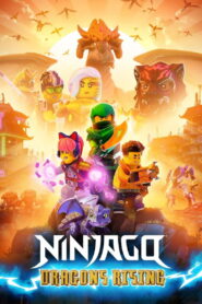 LEGO Ninjago: Dragons Rising Season 1 Watch All Episodes Online Free