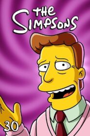 The Simpsons Season 30 Watch All Episodes Online Free