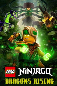 LEGO Ninjago: Dragons Rising Season 4 Watch All Episodes Online Free