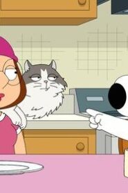 Family Guy Season 19 Episode 19 English Sub Free