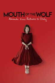 Mouth of the Wolf: Amanda Knox Returns to Italy 2026