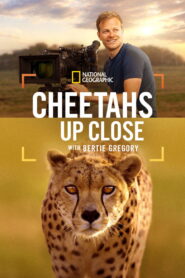 Cheetahs Up Close with Bertie Gregory 2026