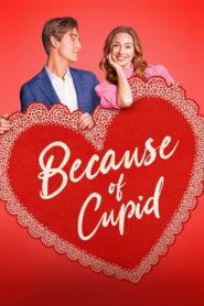 Because of Cupid 2026