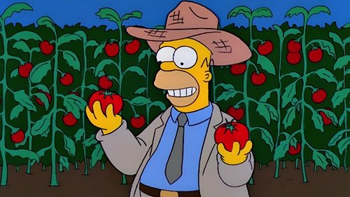 The Simpsons Season 11 Episode 5 English Sub Free